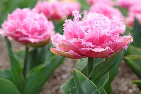 shutterstock-2615425841.jpg shutterstock-2615425841.jpg