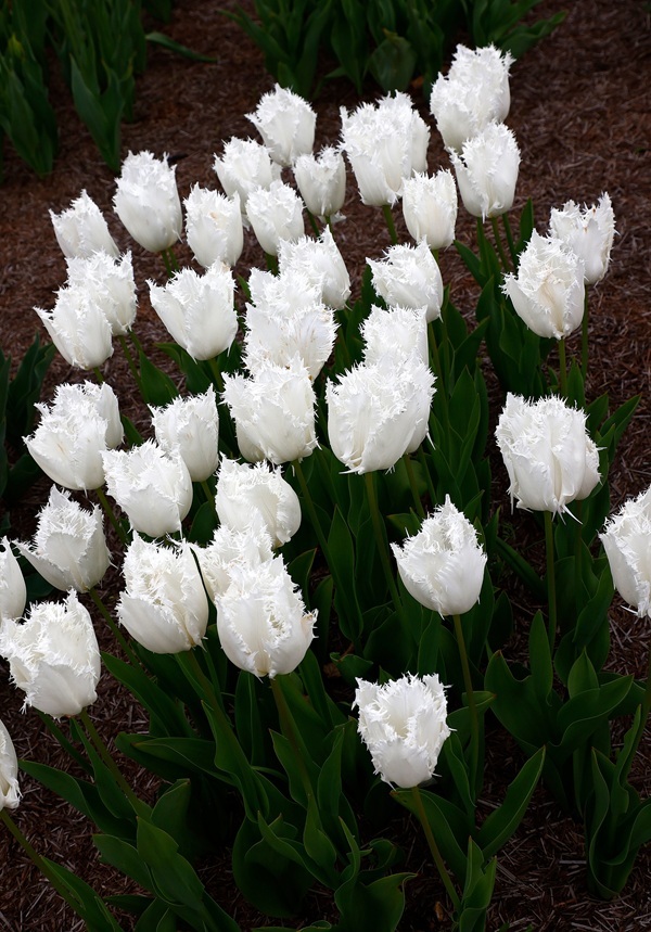 shutterstock-2621781143.jpg shutterstock-2621781143.jpg