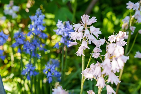 shutterstock-2622700433.jpg shutterstock-2622700433.jpg