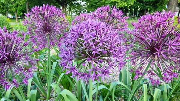 shutterstock-2630731631.jpg shutterstock-2630731631.jpg