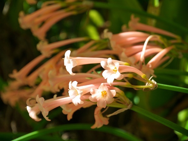 shutterstock-587914688-pink.jpg
