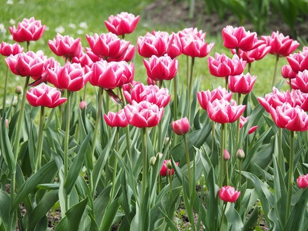 shutterstock-630270683.jpg shutterstock-630270683.jpg