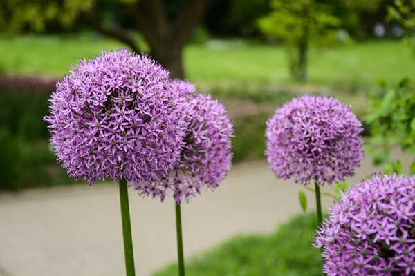 shutterstock-651716584.jpg shutterstock-651716584.jpg