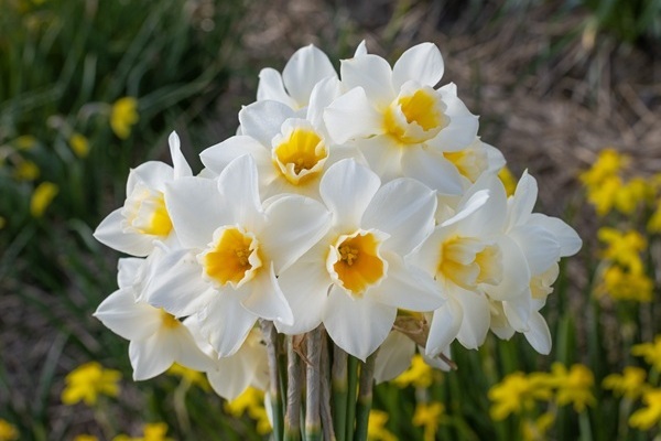 sweet-love-ebr-0859-10-.jpg sweet-love-ebr-0859-10-.jpg