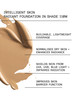 INTELLIGENT SKIN RADIANT FOUNDATION SPF 15 -  110W