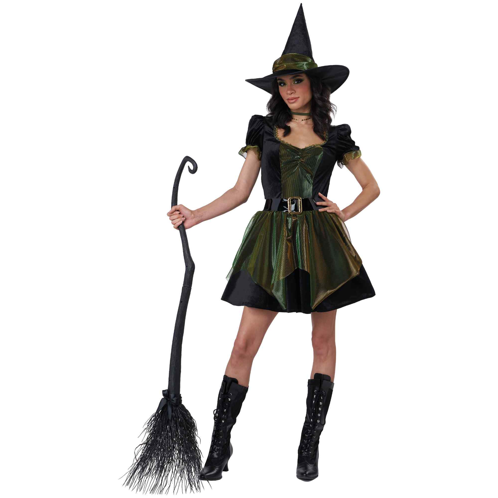 Emerald City Witch Womens Costume