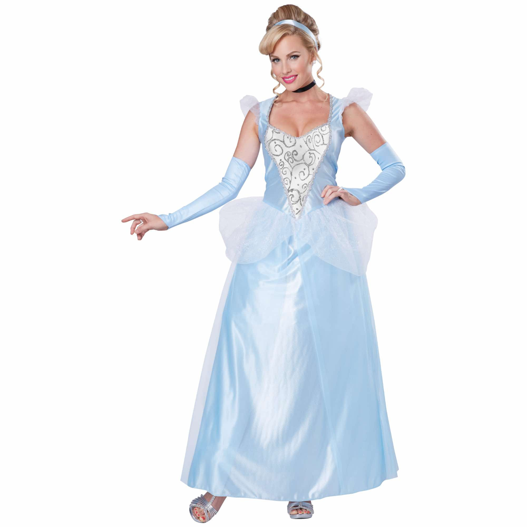 Classic Cinderella Princess Fairytale Story Book Week Adult Womens Costume