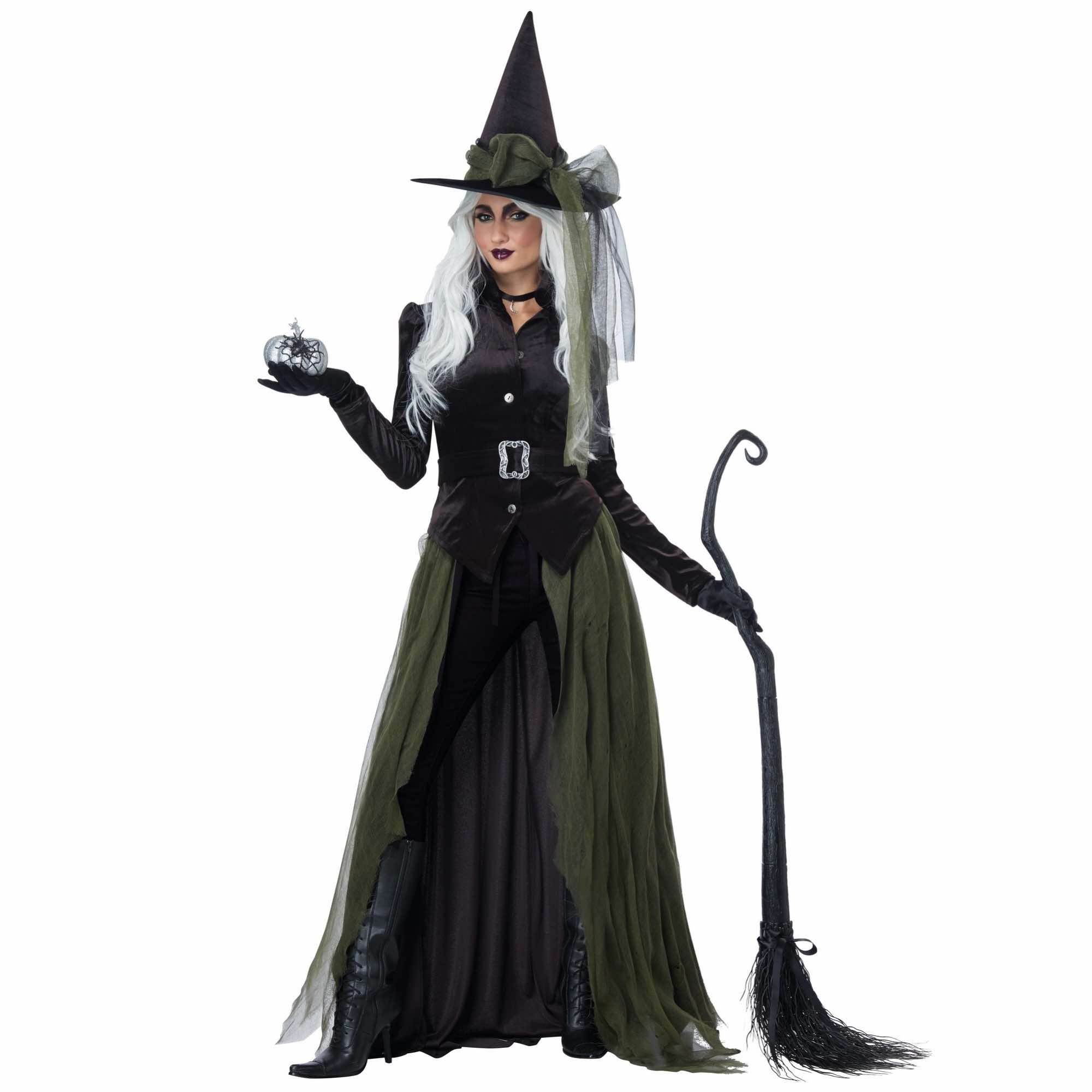 Gothic Witch Wicked Wizardess Sorceress Enchantress Halloween Womens Costume