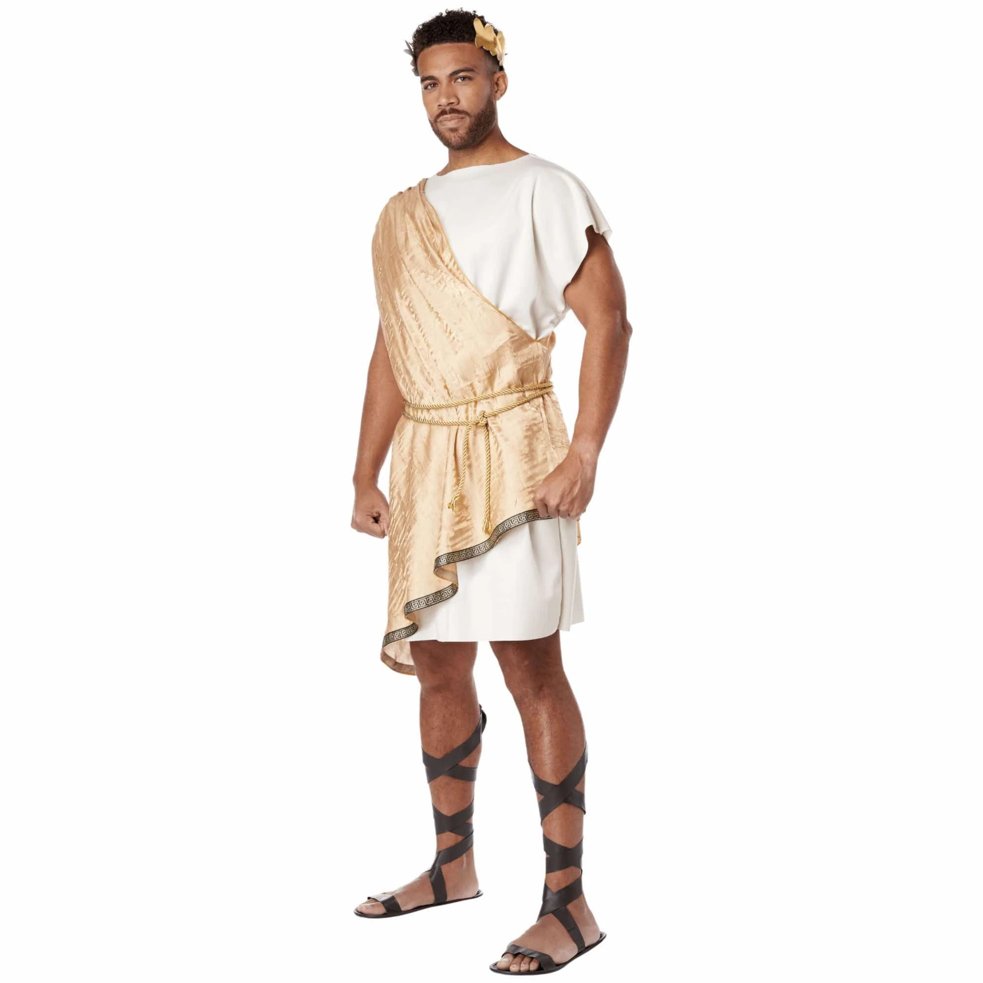 Greek God Olympus Caesar Roman Ancient Gold Toga Party Adult Mens Costume