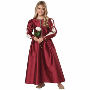 Renaissance Princess Royal Medieval Faire Story Book Week Girls Costume
