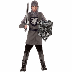 Valiant Knight Renaissance Medieval Warrior Dress Up Boys Costume