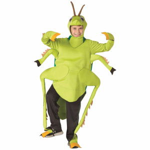 Grasshopper Insect Caelifera Nature Bug Funny Book Week Child Boys Costume 7-10