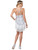 All That Jazz Flapper Roaring 20s Gangster Party Silver Adult Womens Costume