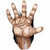 Chimpanzee Animal Brown Mens Gloves Hands