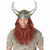 Viking Getup Norman Medieval Warrior Men Costume Helmet Beard Kit