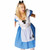 Alice In Wonderland Disney Fairytale Story Book Week Adult Womens Costume