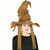 Harry Potter Deluxe Wizard Book Week Kids Child Boys Girls Costume Sorting Hat