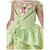 Tiana Shimmer The Frog Prince Disney Princess Book Week Child Girls Costume