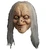 Wanda The Witch Ugly Horror Storybook Adult Womens Costume Overhead Mask Hair
