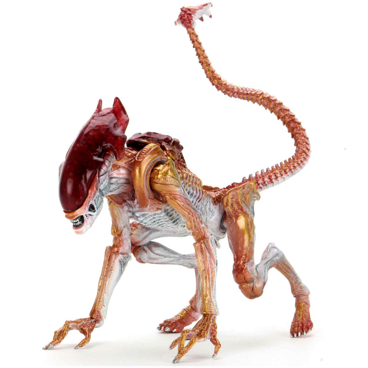 Aliens Panther Alien Kenner Tribute NECA 7" Action Figure