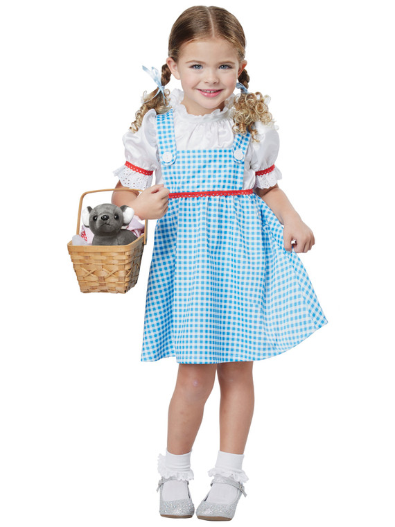 Dorothy The Wonderful Wizard of Oz Story Book Week Toddler Girls Costume