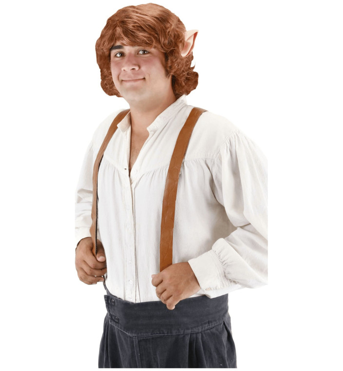 The Hobbit Bilbo Baggins The Lord of the Rings Elf Men Costume Wig And Ears