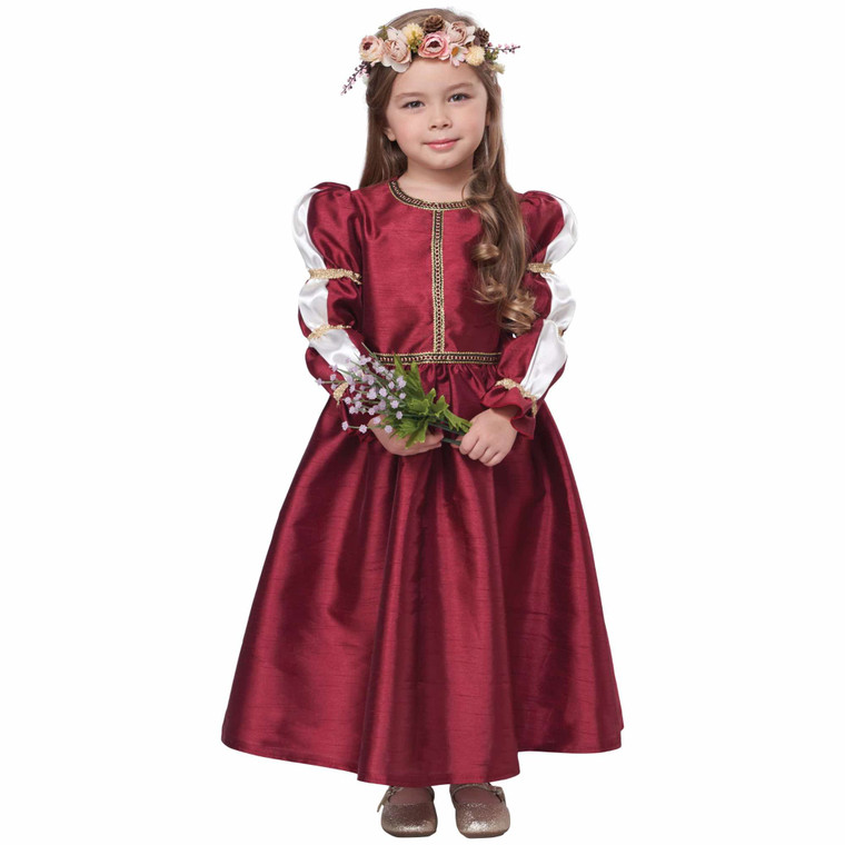 Renaissance Princess Royal Medieval Faire Book Week Toddler Girls Costume