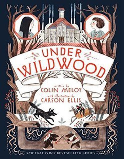 Under Wildwood (hardback version)