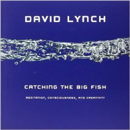 Catching The Big Fish (CD version) Catching The Big Fish (CD version)