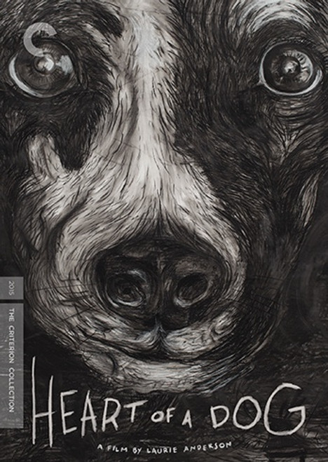 Heart of a Dog (Criterion region 1 DVD)