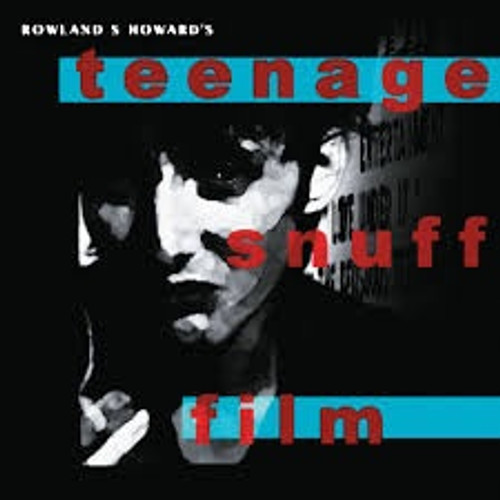 Teenage Snuff Film (2LP limited edition)