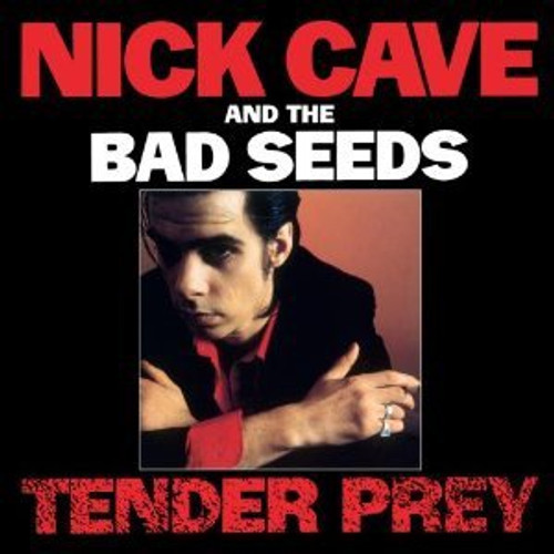 Tender Prey (deluxe edition) CD/DVD