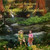 Moonrise Kingdom S/T CD