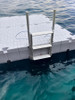 snap dock swim platform with ladder snap dock swim platform with ladder