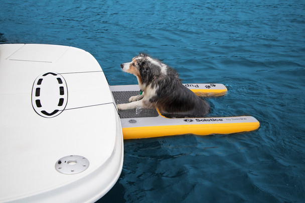 Pup Plank XL