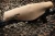 SENTRY XP-6 Extreme 6mm Scopecoat Riflescope Covers
