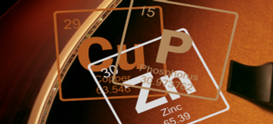 Acoustic Strings Battle: 80/20 Bronze vs Phosphor Bronze Acoustic Strings Battle: 80/20 Bronze vs Phosphor Bronze