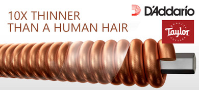 Why Taylor Guitars Switched to D'Addario XS Coated Strings Why Taylor Guitars Switched to D'Addario XS Coated Strings