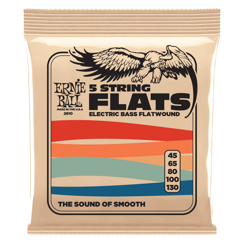 Ernie Ball 5-string Stainless Steel Flatwound Electric Bass Strings 45-130 Gauge front
