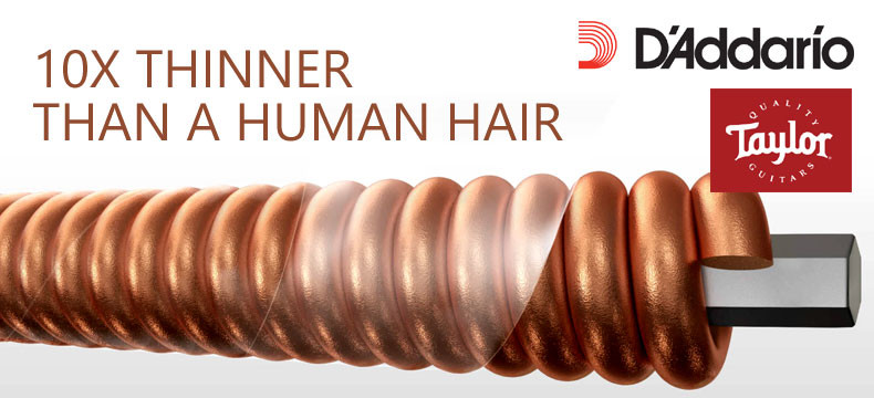 Why Taylor Guitars Switched to D'Addario XS Coated Strings Why Taylor Guitars Switched to D'Addario XS Coated Strings