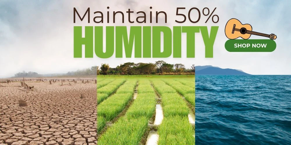 Shop Humidification for Your Instrument at the f-hole