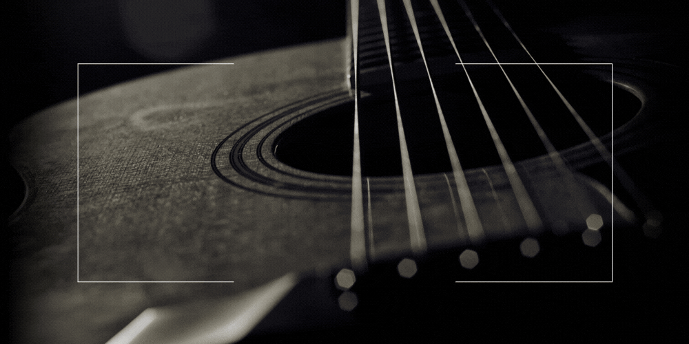 Black Friday discounts and deals | the f-hole