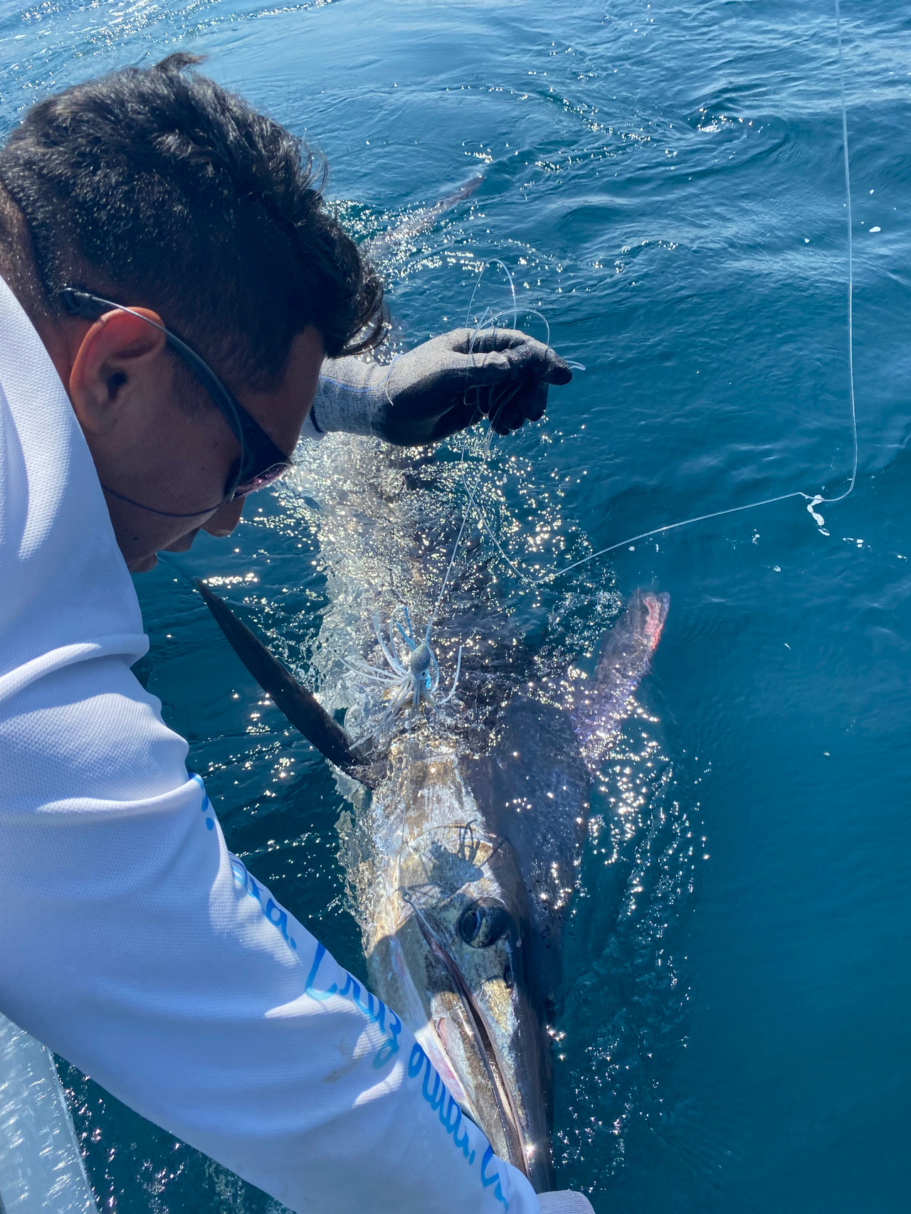 Bucket dredge with Phat Squid compact dredge inside bucket