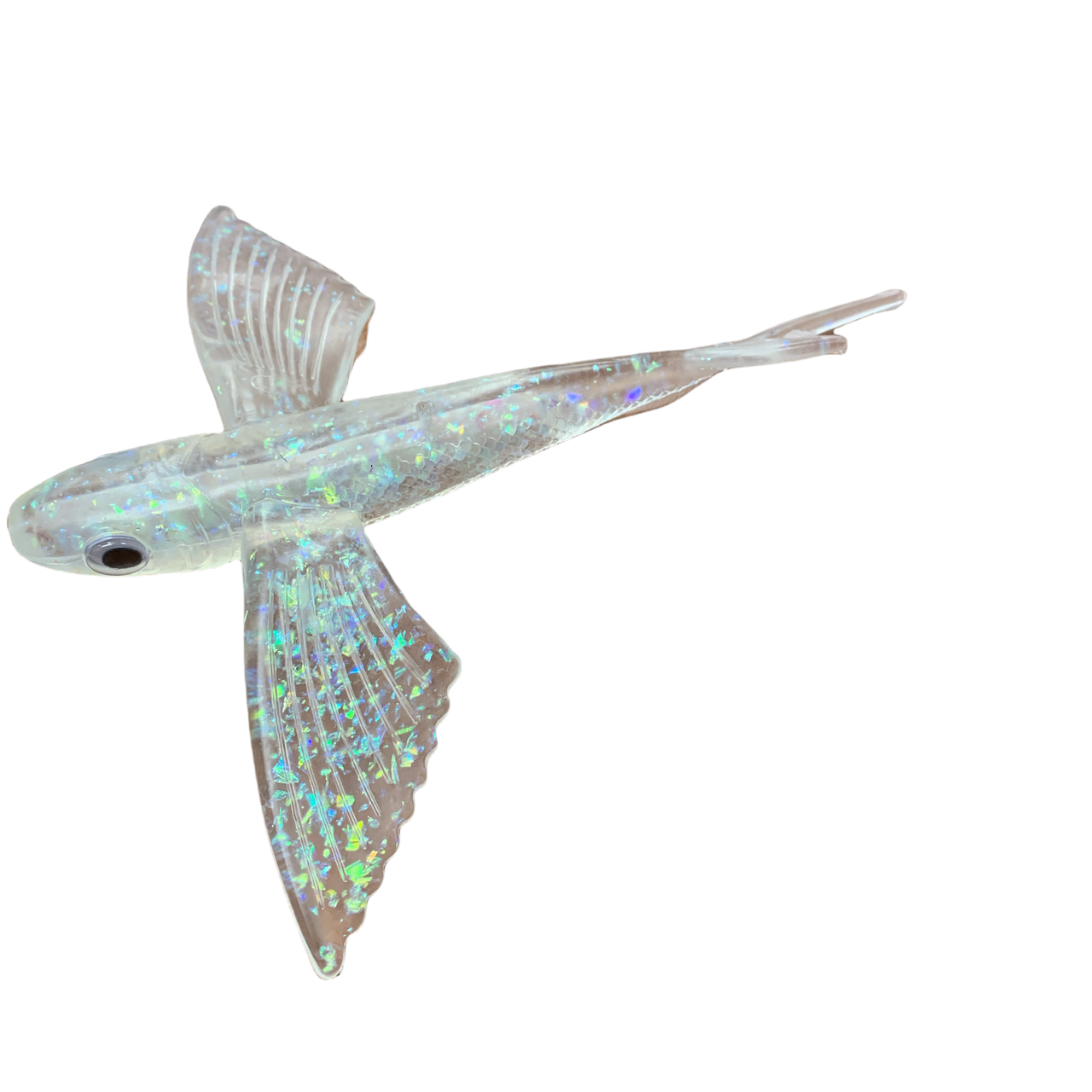 Clear Flying Fish with Flecks