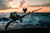 Fish Razr’s Ultimate Guide to King Mackerel Fishing