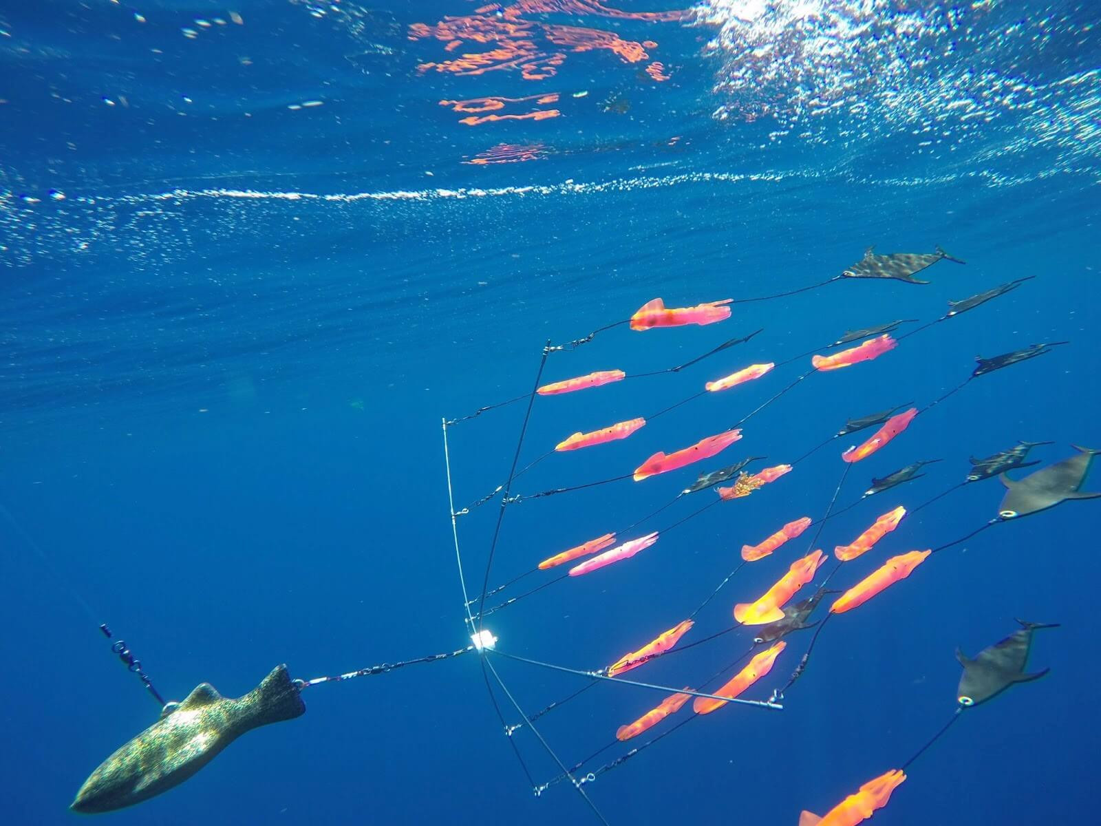 Fish Razr’s Ultimate Guide to Dredge Fishing Fish Razr