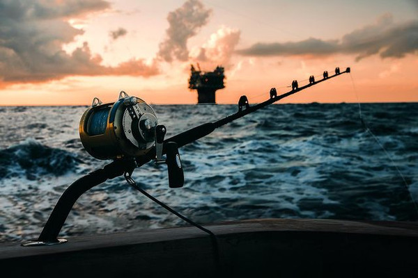 Fishing for King Mackerel