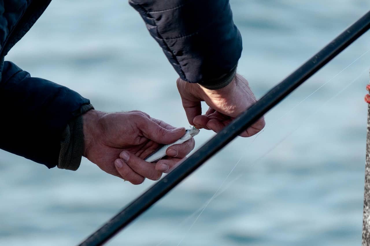 A fisherman removing a hook from a fish