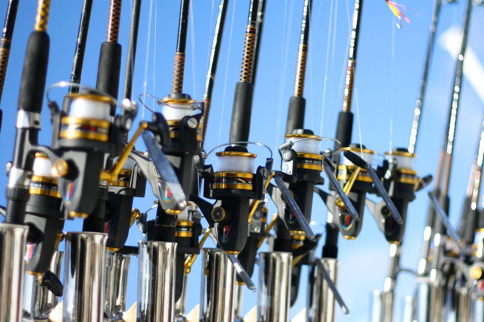 a variety of saltwater fishing rods