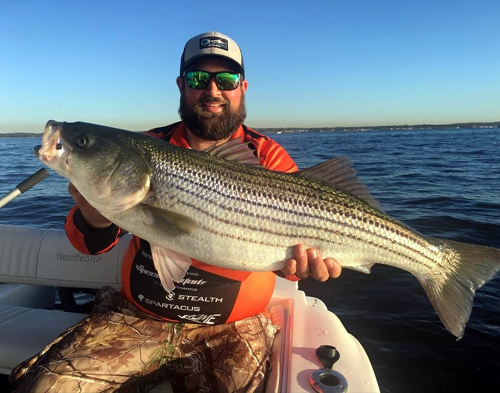 5 Best Lures For Striped Bass Fish Razr